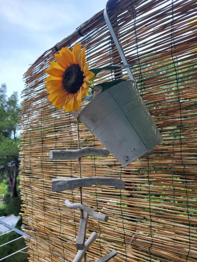 Cozy Apartment With Balcony 10 Min From The Beach ริเยกา ภายนอก รูปภาพ